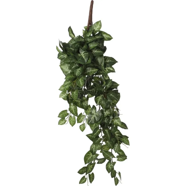 Mica Decorations Mica Syngonium hangend groen