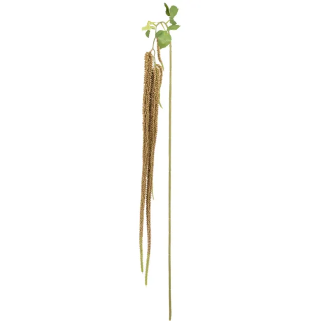 homebound by ky Kunsttak Amaranthus 215cm sandstone bruin