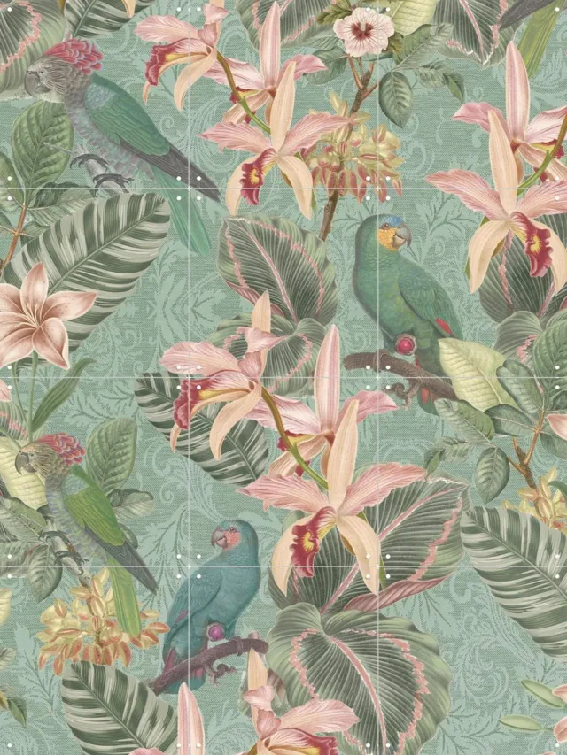 IXXI Tropical Jungle Birds, Bloomery Decor - 60 x 80 cm - Grote wanddecoratie en posters - Naturalisme, Grafisch Ontwerp, Kleurrijk, Vintage Groen