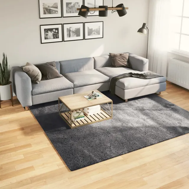 vidaXL Vloerkleed HUARTE laagpolig zacht wasbaar 240x240 cm antraciet, foto 2