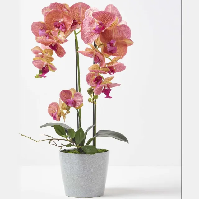 Homescapes Kunstmatige Perzik Phalaenopsis Orchidee in Grijze Keramische Pot 58 cm Abrikoos