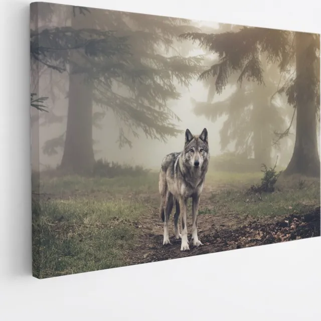 Saammp Canvas Schilderij - Wolf in een bos met mist - Dieren - Natuur - 30x20 - Foto op canvas - Wanddecoratie - muurdecoratie Woonkamer - Slaapkamer decoratie - Canvas Print Multicolor
