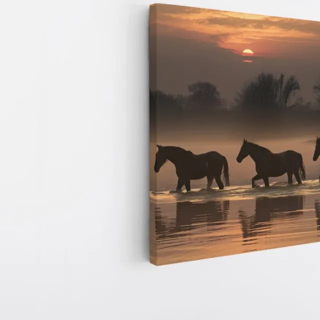 Saammp Canvas Schilderij - Paarden in het water met zonsondergang - Natuur - Dieren - 60x60 - Foto op canvas - Wanddecoratie - Muurdecoratie Woonkamer - Slaapkamer decoratie - Canvas Print Multicolor