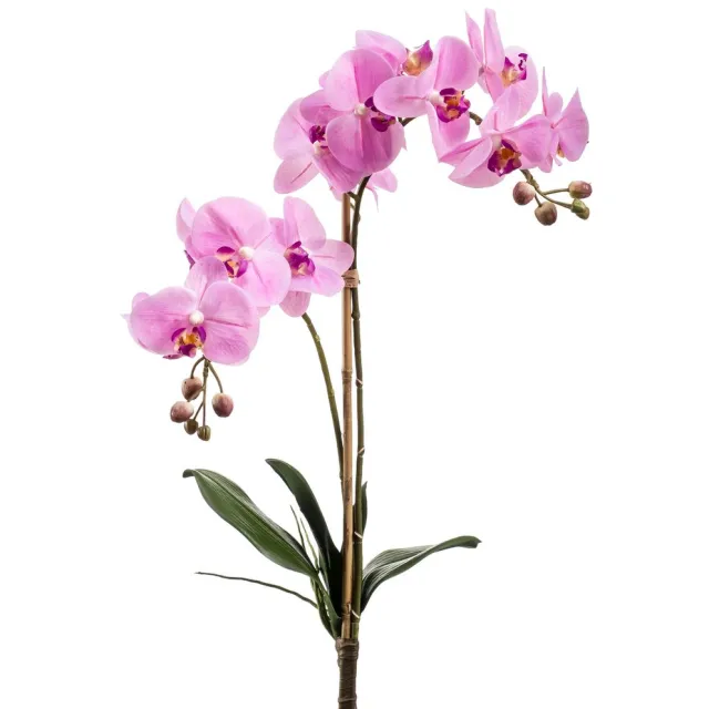 Emerald Kunstplant Phalaenopsis RT 65cm roze - Kunstplant voor binnen