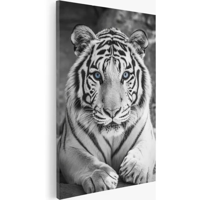 Saammp Canvas Schilderij - Witte Tijger met blauwe ogen - Natuur - Dieren - 30x40 - Foto op canvas - Wanddecoratie - Muurdecoratie Woonkamer - Slaapkamer decoratie - Canvas Print Multicolor