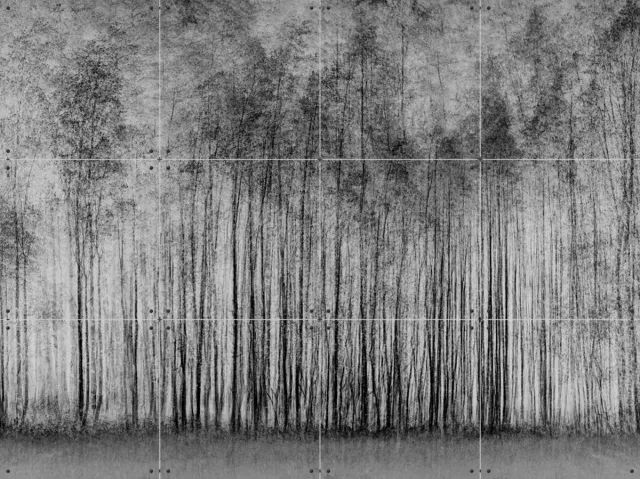 IXXI Impenetrable Forest, Various - 80 x 60 cm - Grote wanddecoratie en posters - Minimalisme, Fotografie, Woonkamer, Slaapkamer, Silhouetten, Bossen Monochroom / Zwart / Zwart en wit