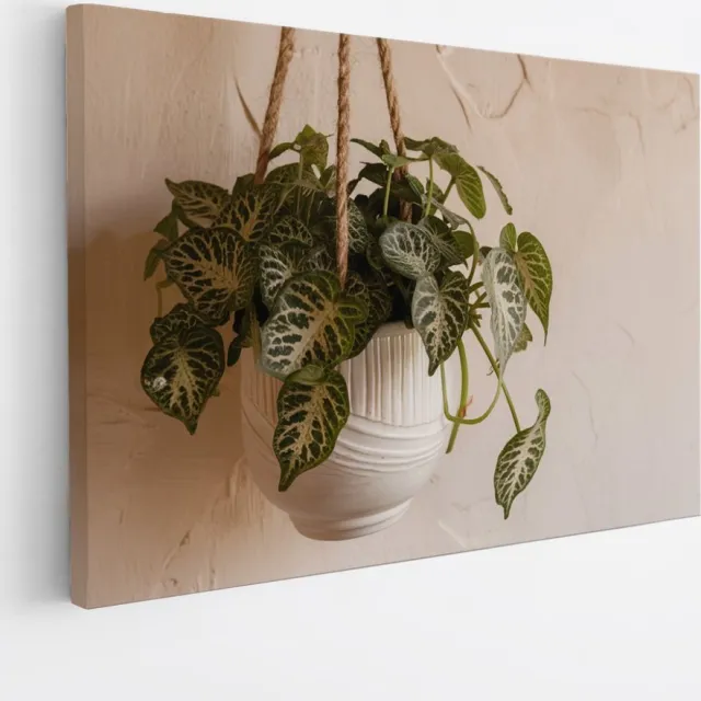 Saammp Canvas Schilderij - Hangende plant - Touw - Bloemen - Abstract - 100x75 - Foto op canvas - Wanddecoratie - Muurdecoratie Woonkamer - Kantoor Decoratie Multicolor