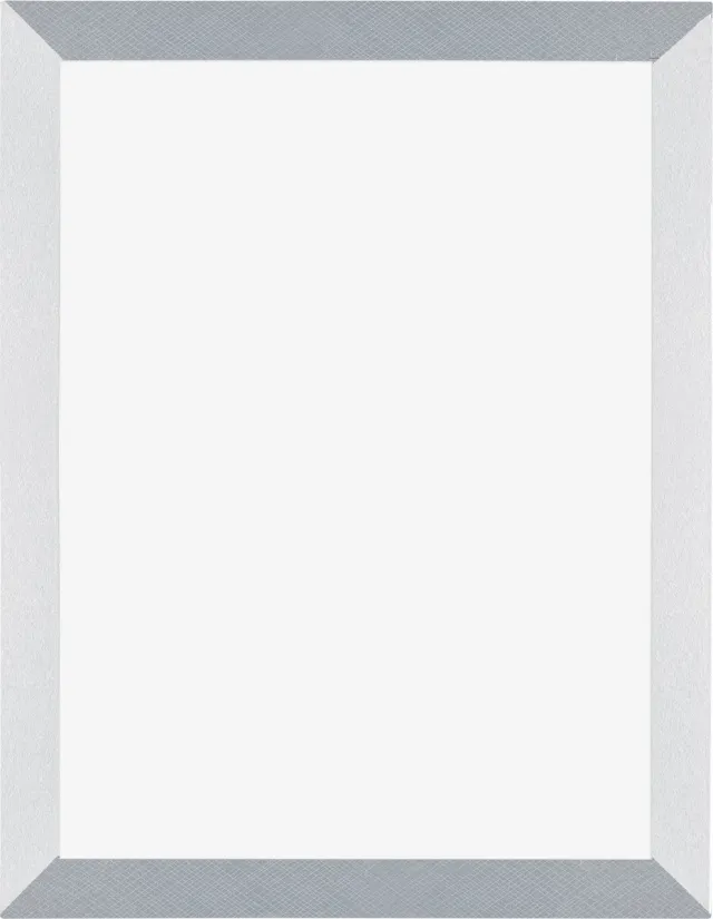 Dutch Frame Factory Fotolijst 46x61 cm - MDF - Aluminium Geborsteld - Marseille