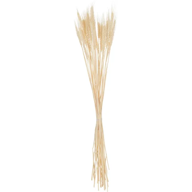 J-Line droogbloemen - bundel gedroogde Tarwe - riet - ecru Naturel