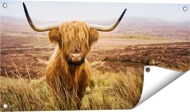 Gards Tuinposter Schotse Hooglander Koe in het Veld - 80x40 cm - Tuindoek - Tuindecoratie - Wanddecoratie buiten - Tuinschilderij Multikleur