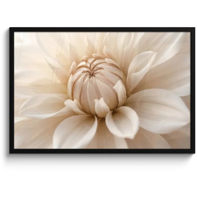 FrameYourWall Poster in lijst - Fotolijst 90x60 cm - Posters - Bloem - Dahlia - Wit - Posterlijst zwart - Decoratie - Wanddecoratie woonkamer - Muurdecoratie slaapkamer