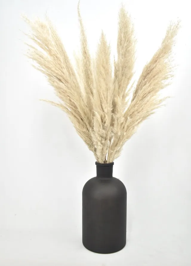 Natuurlijk Bloemen Pampas Pluimen Fluffy - 10 stuks - 75 cm - Droogbloemen - Natuurlijk Bloemen Beige