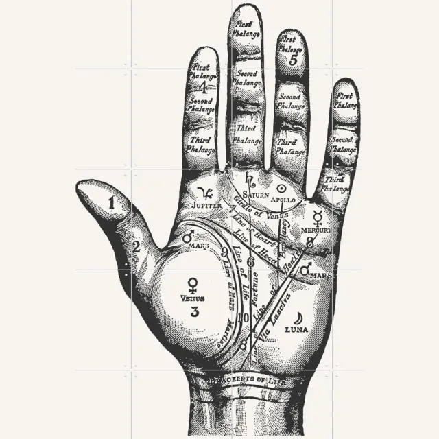 IXXI Palmistry, Aster Edition - 80 x 100 cm - Grote wanddecoratie en posters - Technische Tekening, Houtsnede, Illustraties, Vintage, Woonkamer Zwart en wit / Zwart / Monochroom