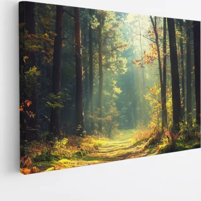 Saammp Canvas Schilderij - Botanisch - Bos - Herfstachtig - Landschap - Natuur - 60x40 - Foto op canvas - Wanddecoratie - Muurdecoratie Woonkamer - Slaapkamer decoratie - Canvas Print Multicolor