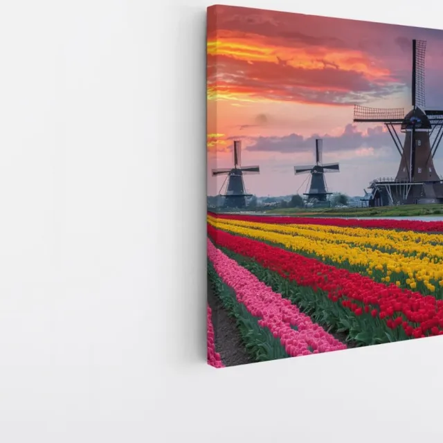 Saammp Canvas Schilderij - Kleurrijk Tulpenveld Met Molens - Natuur - Landschap - 40x40 - Foto op canvas - Wanddecoratie - Muurdecoratie Woonkamer - Slaapkamer decoratie - Canvas Print Multicolor