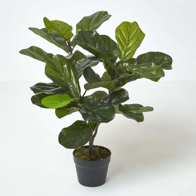 Homescapes Kunstplant Vioolbladplant (Ficus lyrata) in Pot – 70 cm – Groen – UV-bestendig