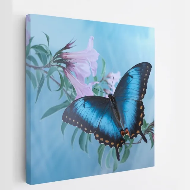 Saammp Canvas Schilderij - Vlinder op roze bloem - Abstract - Dieren - Natuur - 60x60 - Foto op canvas - Wanddecoratie - muurdecoratie Woonkamer - Slaapkamer decoratie - Canvas Print Multicolor