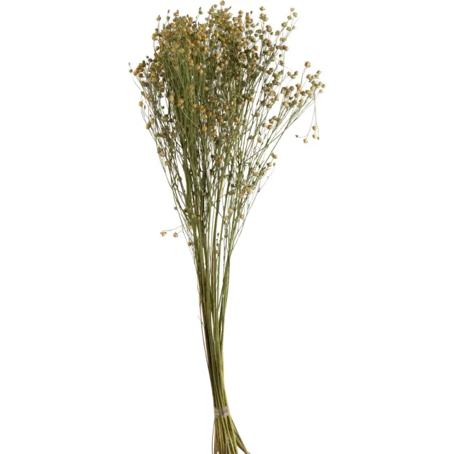 J-Line droogbloemen - Bundel Vlasbloem - gedroogd vlas - geel