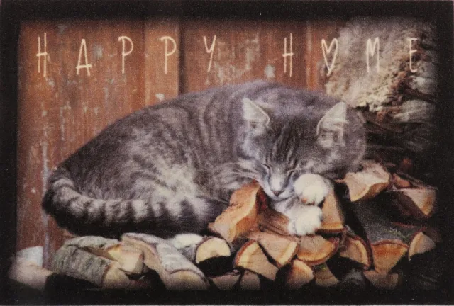 Ikado Deurmat foto slapende poes - 40 x 60 cm Zwart/grijs