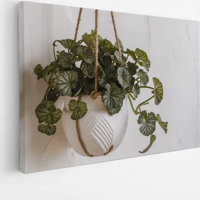 Saammp Canvas Schilderij - Planten in hangende bak - Bloemen - Abstract - 120x80 - Foto op canvas - Wanddecoratie - Muurdecoratie Woonkamer - Kantoor Decoratie Multicolor