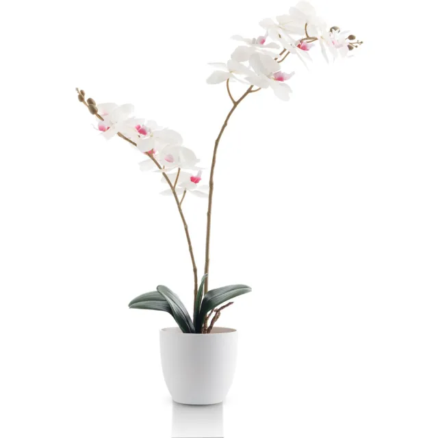 Meisterhome Kunstorchidee 65 cm – Realistische Phalaenopsis Orchidee – Bloeiende Kunstplant – Onderhoudsvrij – Witte Bloemen – In Pot – Luxe Woondecoratie