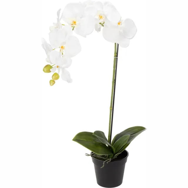 Viana Kunstmatige orchidee, bedrieglijk realistisch, voor decoratie in kanto Wit