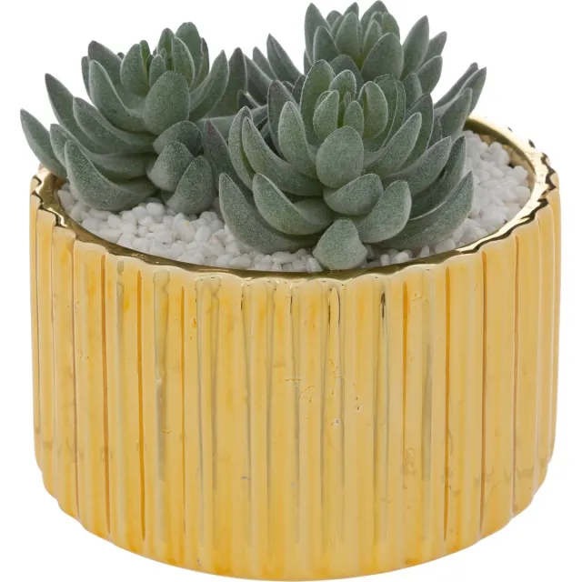 Atmosphera Louis Kunstplant - Goud - H12 cm - Dia 13,5 cm - Vetplant Zwart
