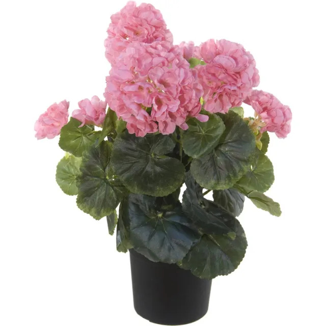 Louis Maes Roze geranium kunstplant in zwarte kunststof pot 35 cm - Pelargonium Graveolens - Woondecoratie