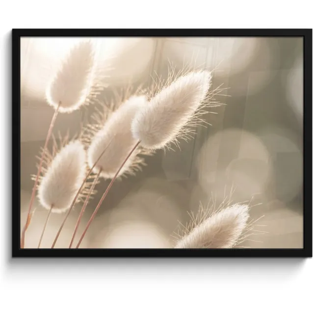 FrameYourWall Poster in lijst - Fotolijst 80x60 cm - Posters - Hazestaartgras - Wit - Zonlicht - Posterlijst zwart - Decoratie - Wanddecoratie woonkamer - Muurdecoratie slaapkamer