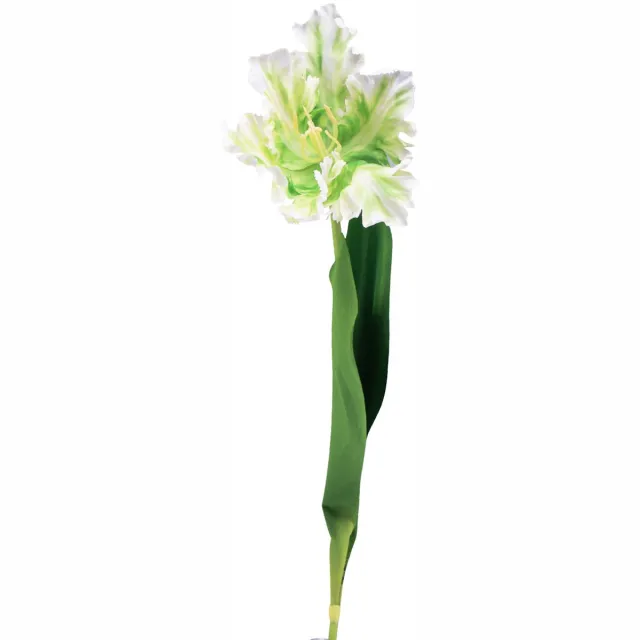 Viana Kunstbloem papegaaitulp kunsttulp groen wit 69cm Veelkleurig