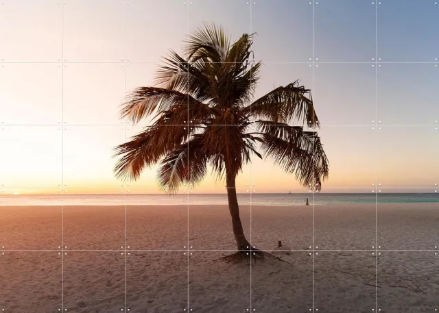 IXXI Summer Vibes Palm, Claire Droppert - 140 x 100 cm - Grote wanddecoratie en posters - Fotografie, Naturalisme, Woonkamer, Slaapkamer, Strandhuis Blauw / Geel / Oranje