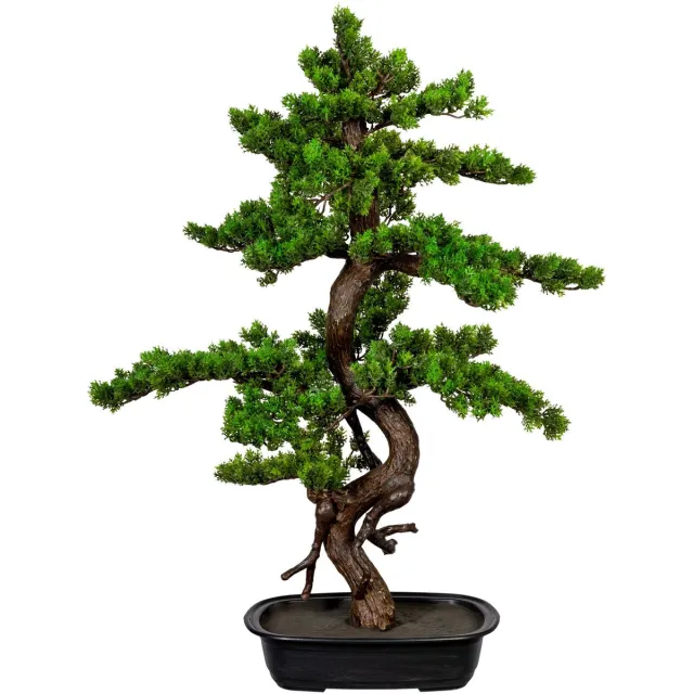 Kopu Myrtle Bonsai - Circa 85 X 55 cm - In Een Zwarte Plastic Pot Groen