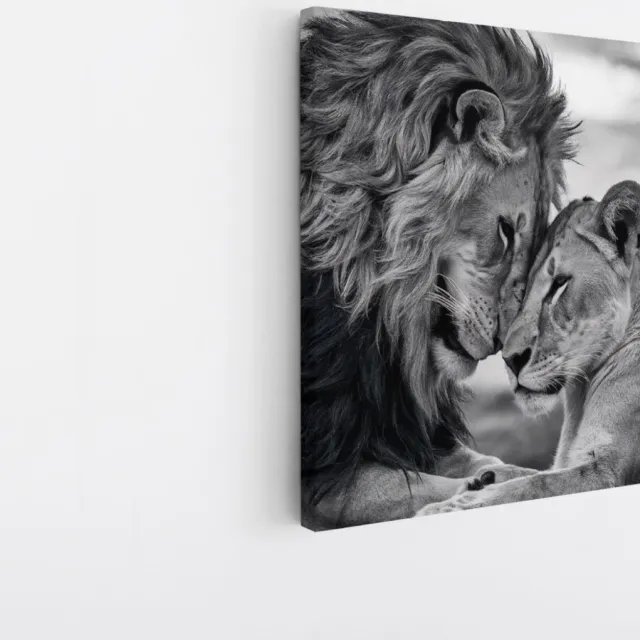 Saammp Canvas Schilderij - 2 Leeuwen - Liefdevol - Natuur - Dieren - 20x20 - Foto op canvas - Wanddecoratie - Muurdecoratie Woonkamer - Slaapkamer decoratie - Canvas Print Multicolor