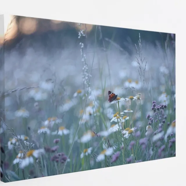 Saammp Canvas Schilderij - Vlinder in bloemenveld - Dieren - Natuur - 120x80 - Foto op canvas - Wanddecoratie - muurdecoratie Woonkamer - Slaapkamer decoratie - Canvas Print Multicolor