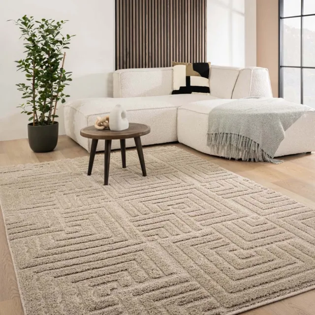 Tapeso Scandinavisch vloerkleed - Arc Shade beige 200x300