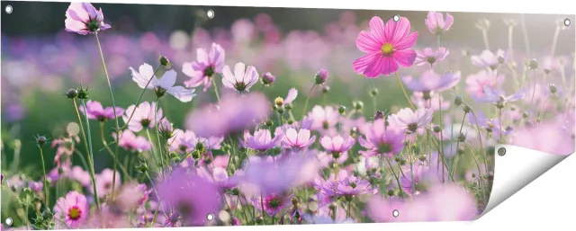 Gards Tuinposter Bloemenveld met Paarse Kosmos - 150x50 cm - Tuindoek - Tuindecoratie - Wanddecoratie buiten - Tuinschilderij Multikleur