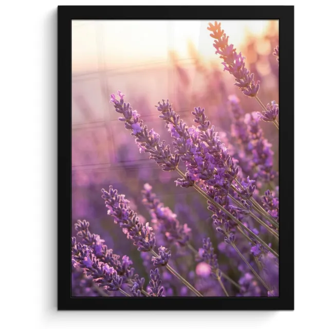 FrameYourWall Poster in lijst - Fotolijst 30x40 cm - Posters - Lavendel - Paars - Zonlicht - Posterlijst zwart - Decoratie - Wanddecoratie woonkamer - Muurdecoratie slaapkamer