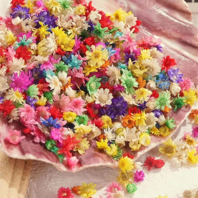 Nordivar Gedroogde bloemen voor kunsthars - 360 stuks - nagels en sieraden - echte natuurlijke gedroogde bloemen - 2 g standard