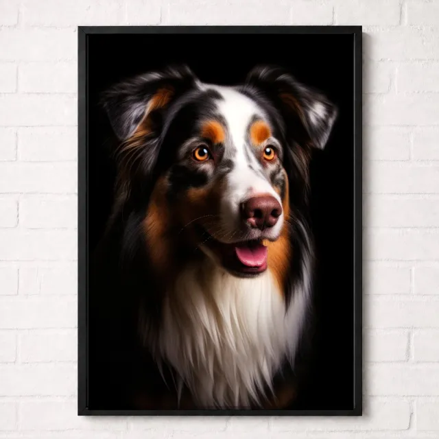 Kleurmedia Australische Herder Poster - Huisdieren Collectie - Dieren Posters - A1+ 61 x 91,5 cm Bruin