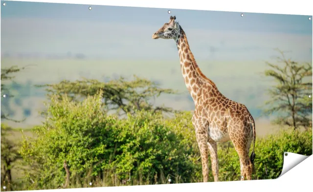 Gards Tuinposter Giraffe in het Wild tussen de Struiken - 200x100 cm - Tuindoek - Tuindecoratie - Wanddecoratie buiten - Tuinschilderij Multikleur