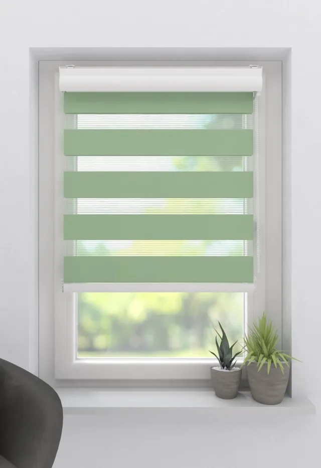 DTCH Duo Rolgordijn Splendid - Lichtdoorlatend - Green - 140 x 175