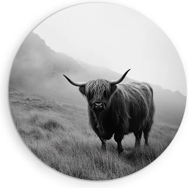 Saammp Forex Muurcirkel - Schotse Hooglander Koe in het hoge gras - Landschap - Dieren - Natuur - Ø 30 - Wandcirkel - Wanddecoratie Cirkel - muurdecoratie Woonkamer - Slaapkamer decoratie - Rond Schilderij