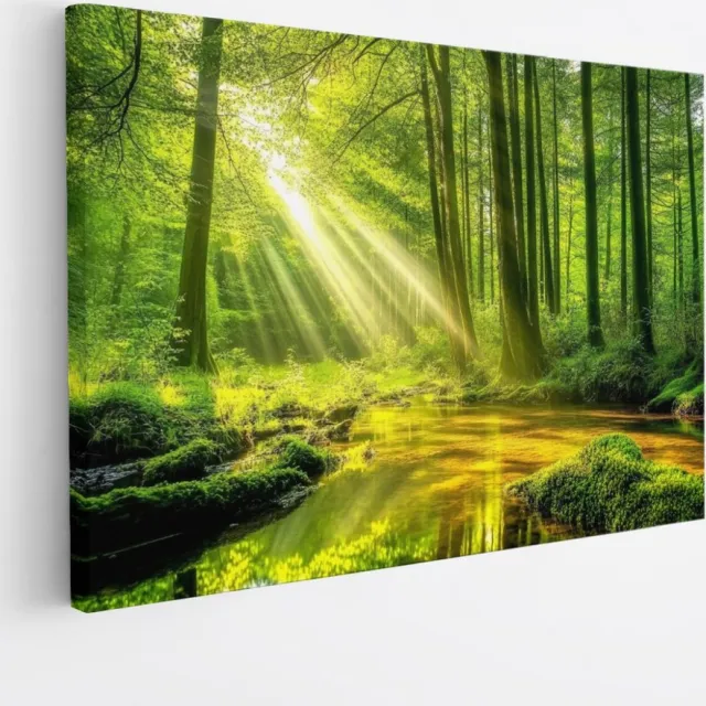 Saammp Canvas Schilderij - Moerras - Zon - Landschap - Natuur - 90x60 - Foto op canvas - Wanddecoratie - Muurdecoratie Woonkamer - Slaapkamer decoratie - Canvas Print Multicolor