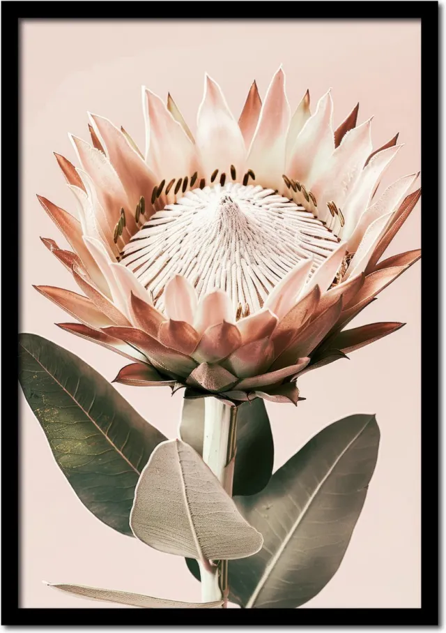 Plakkers Poster bloeiende roze bloem met pastelroze achtergrond - 70cm x 100cm - vintage - woonkamer - slaapkamer - bloemen posters - goedkoop - muurposter - natuur - wanddecoratie Full-colour