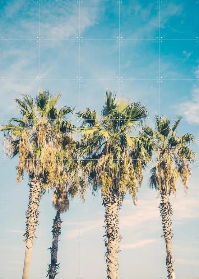 IXXI Barcelona Palm Trees, Pati Photography - 100 x 140 cm - Grote wanddecoratie en posters - Fotografie, Vintage, Slaapkamer, Woonkamer, Botanisch Lichte tinten / Groen