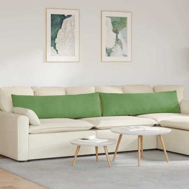 vidaXL Sofa Kussens 2 st fluweel Lichtgroen 145 x 40 cm