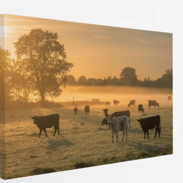 Saammp Canvas Schilderij - Groep koeien in de mist met zonsondergang - Nederland - Dieren - 45x30 - Foto op canvas - Wanddecoratie - Muurdecoratie Woonkamer - Slaapkamer decoratie - Canvas Print Multicolor