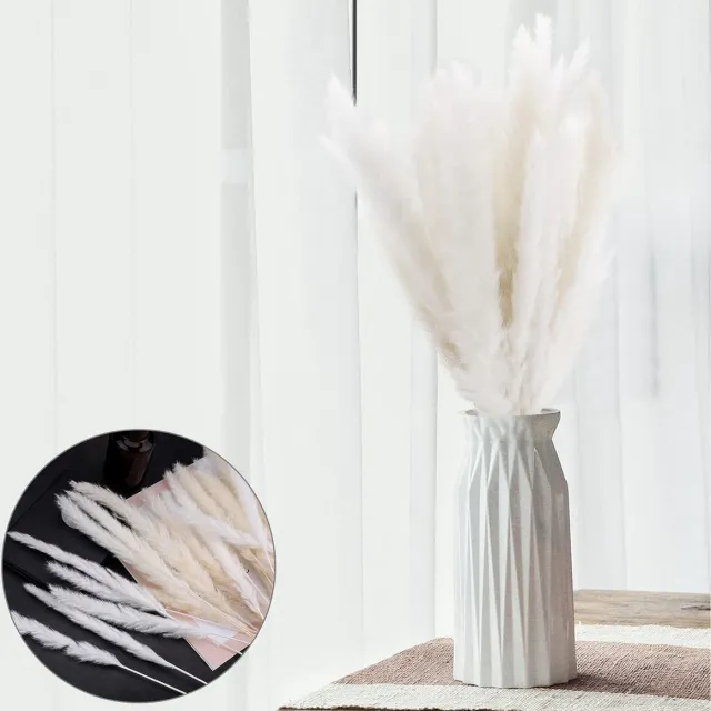 meerklose Wit naturel, gedroogd pampasgras, 30 stuks, 40 cm, kunstmatig, boho, home decor, natuurlijke Phragmites Communis, gedroogde bloemen voor vazen, bloemenboeket, bruiloften, vakantie, feestdecoratie wit-biege