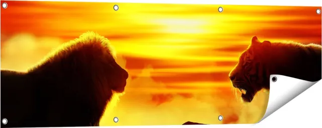Gards Tuinposter Leeuw en Tijger - Silhouet - Zonsopkomst - 120x40 cm - Tuindoek - Tuindecoratie - Wanddecoratie buiten - Tuinschilderij Multikleur