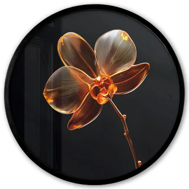 FrameYourWall Poster in lijst Rond - Fotolijst 40x40 cm - Posters - Orchidee - Doorzichtig - Bloem - Ronde posterlijst zwart - Decoratie - Wanddecoratie woonkamer - Muurdecoratie slaapkamer